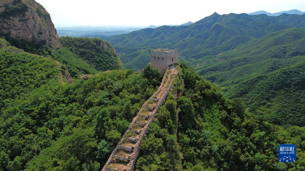 彩金白菜论坛